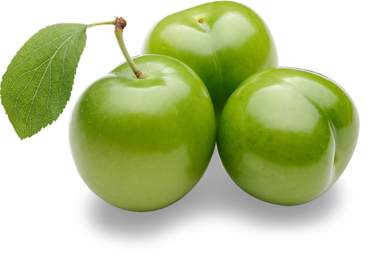 Greengage Fruit